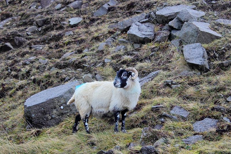 scotland158.JPG -  Isle of Skye