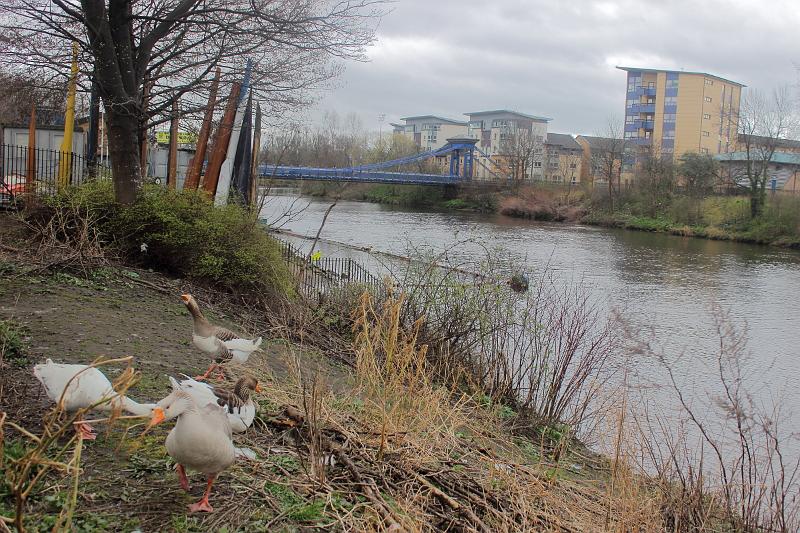 scotland193.JPG - Glasgow