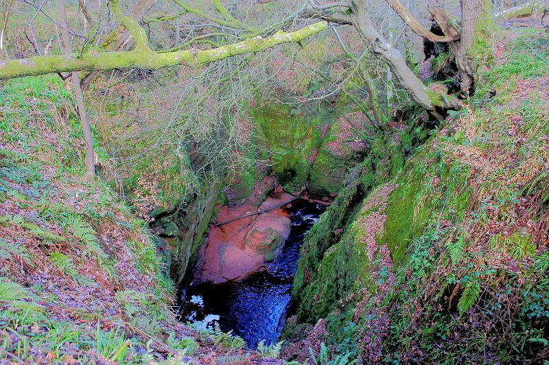 scotland236.JPG - Devil's Pulpit, Finnich Glen 