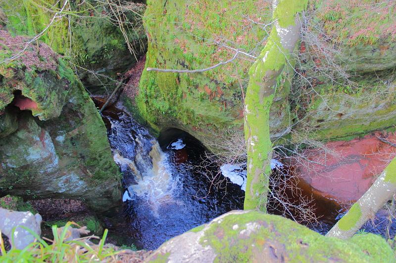 scotland237.JPG - Devil's Pulpit, Finnich Glen 