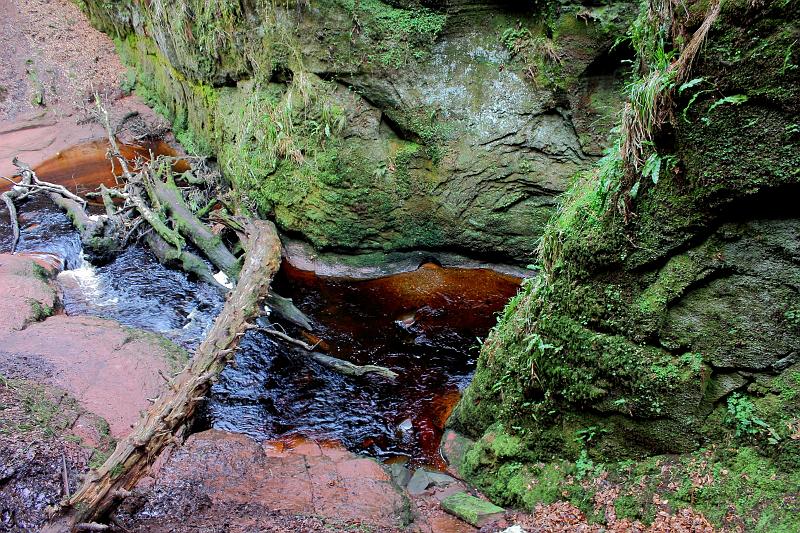scotland238.JPG - Devil's Pulpit, Finnich Glen 
