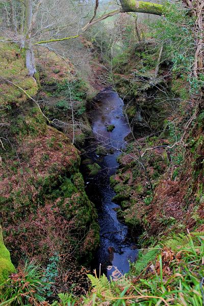 scotland241.JPG - Devil's Pulpit, Finnich Glen 