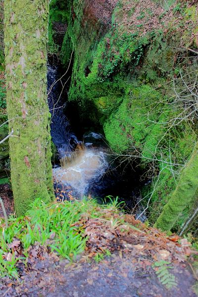 scotland243.JPG - Devil's Pulpit, Finnich Glen 