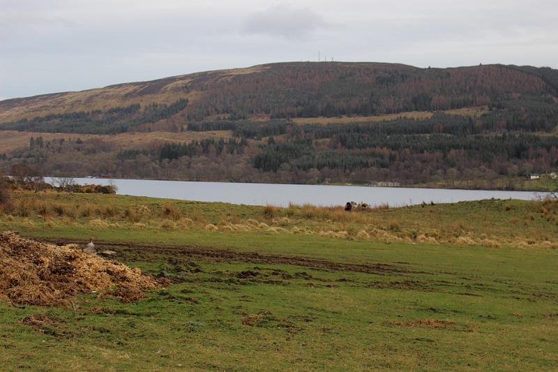 scotland257.JPG - Three lochs drive 