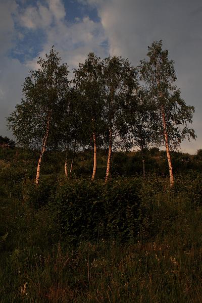 serbia8364.JPG - Uvac Special Nature Reserve