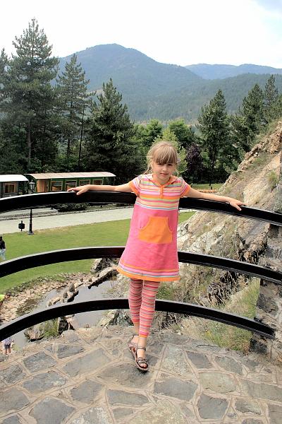 serbia8519.JPG - Narrow gauge railway "Šargan Eight", Mokra Gora