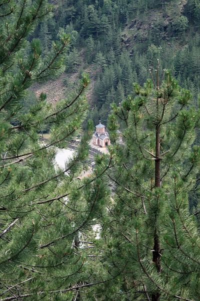 serbia8526.JPG - Narrow gauge railway "Šargan Eight", Mokra Gora