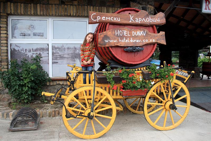 serbia8558.JPG - Sremski Karlovci 