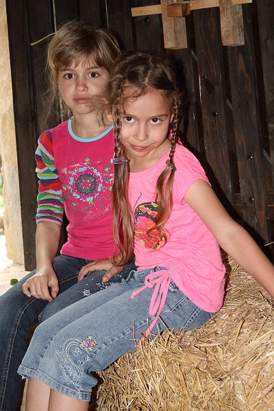 serbia8568.JPG - Velika Remeta Monastery, Frushka Gora