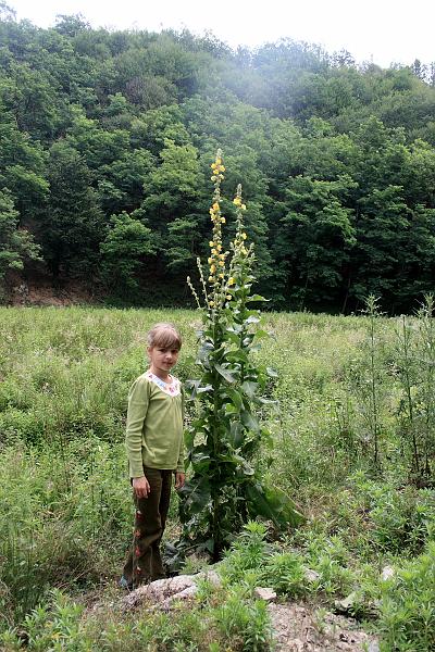 serbia8605.JPG - Djerdap National Park