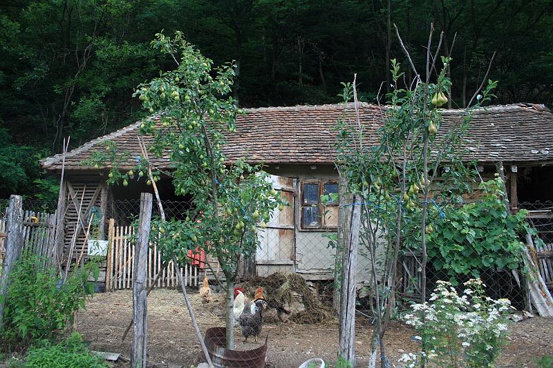 serbia8607.JPG - Djerdap National Park