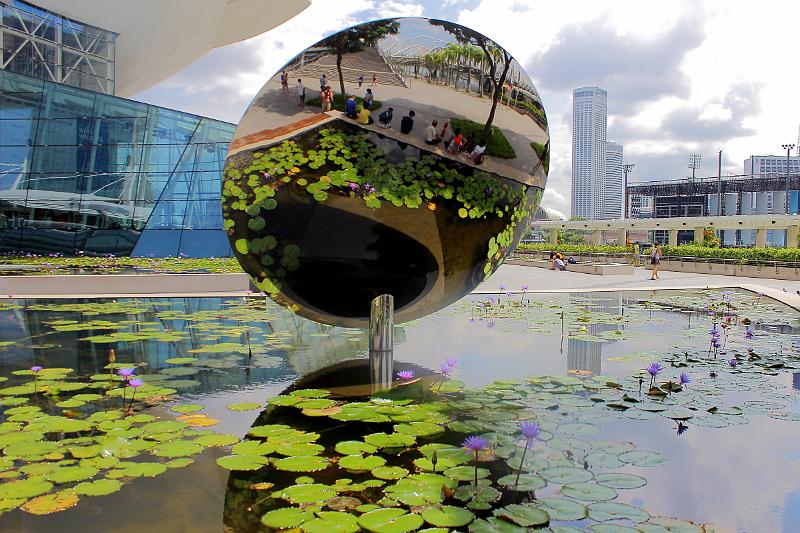 singapore031.JPG -  Lotus pond outside the ArtScience Museum 