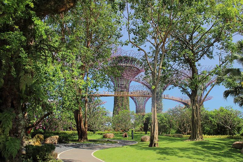 singapore037.JPG - Gardens by the Bay 