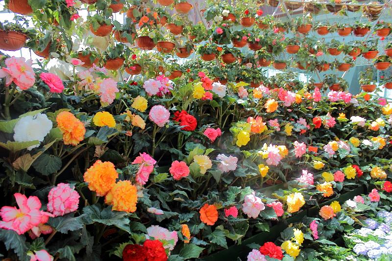 singapore047.JPG - Gardens by the Bay 