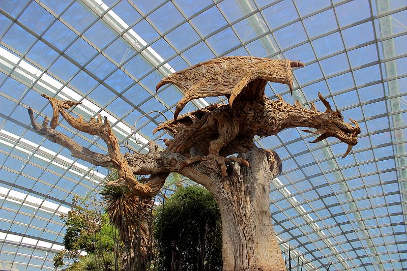 singapore049.JPG - Gardens by the Bay 