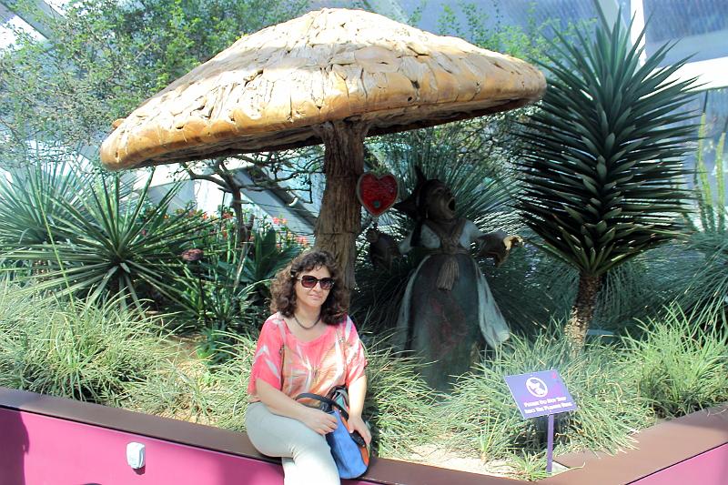 singapore056.JPG - Gardens by the Bay 