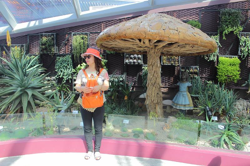 singapore058.JPG - Gardens by the Bay 