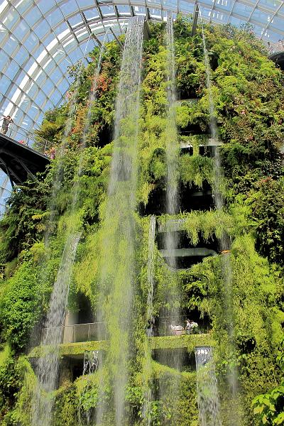 singapore059.JPG - Gardens by the Bay 