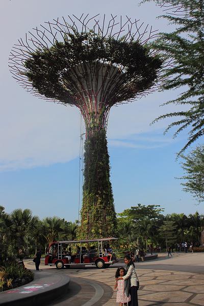 singapore067.JPG - Gardens by the Bay 