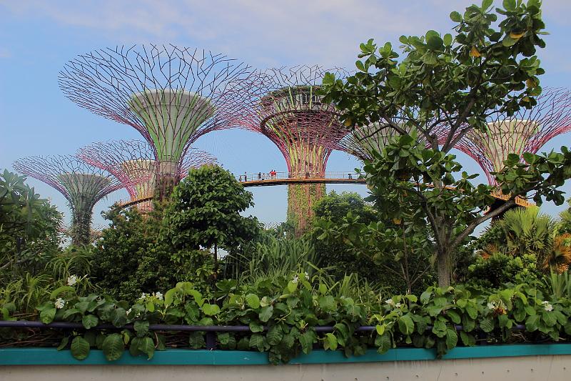 singapore068.JPG - Gardens by the Bay 
