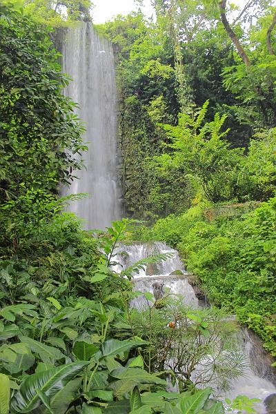 singapore119.JPG - Jurong Bird Park