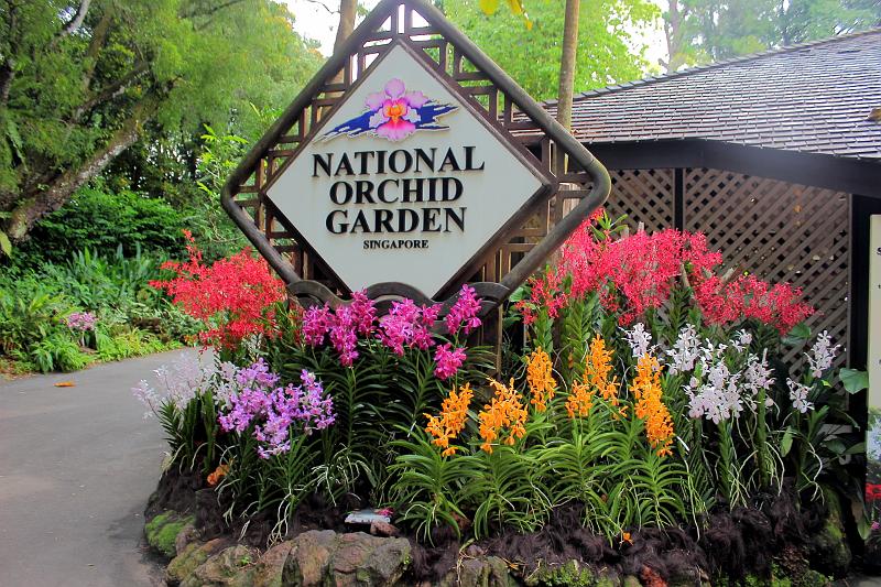 singapore127.JPG - Orchid Garden