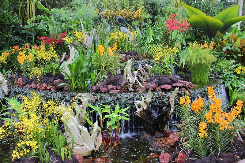 singapore128.JPG - Orchid Garden