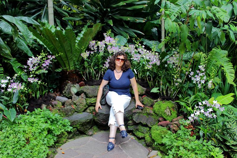 singapore131.JPG - Orchid Garden