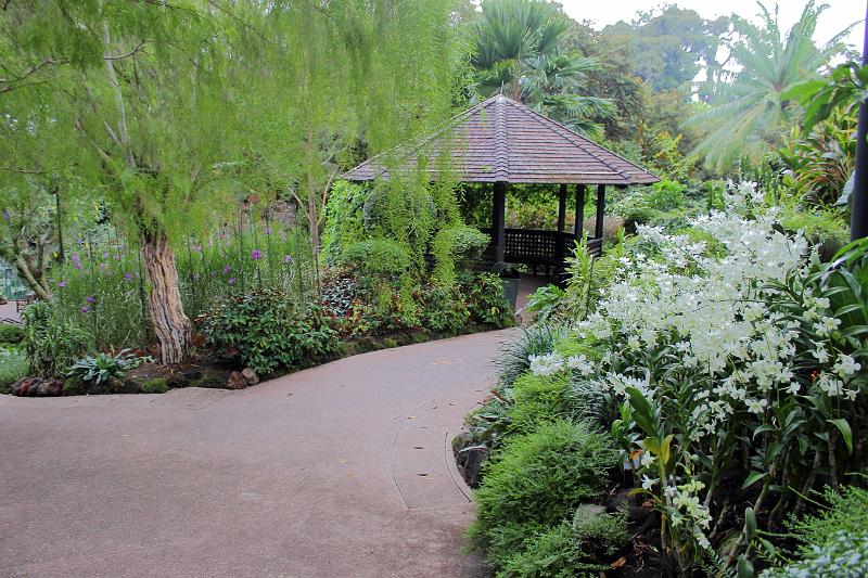 singapore132.JPG - Orchid Garden