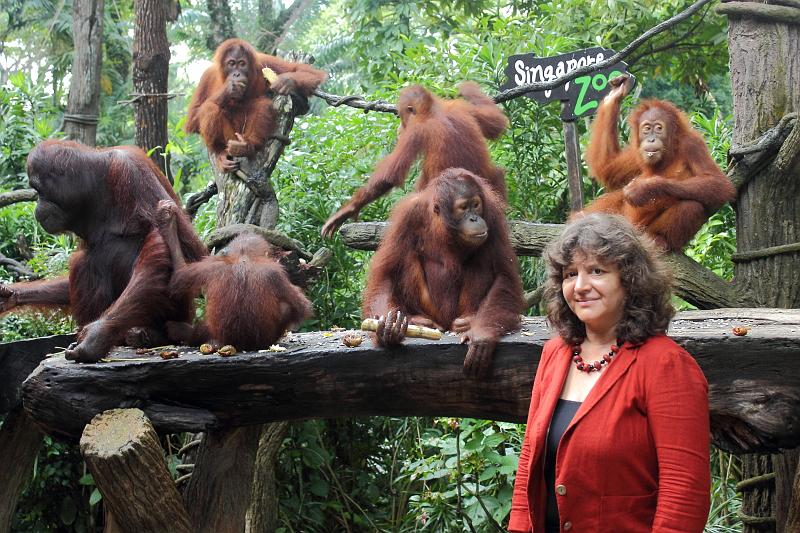 singapore182.JPG - Singapore Zoo