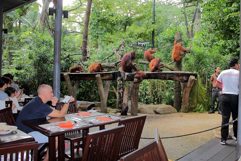 singapore183.JPG - Singapore Zoo