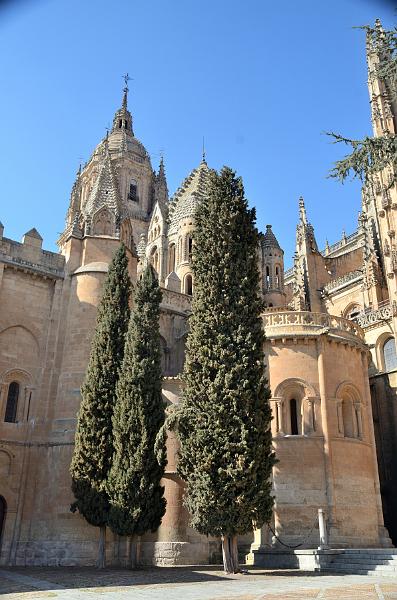 spain0127.jpg - The Cathedral of Salamanca