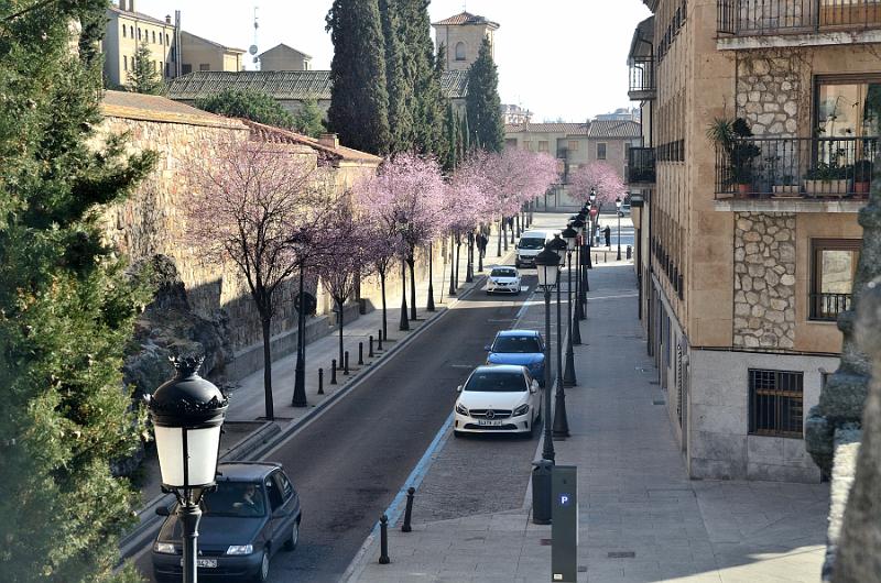 spain0141.jpg - A street near San Esteban monastery, Salamanca