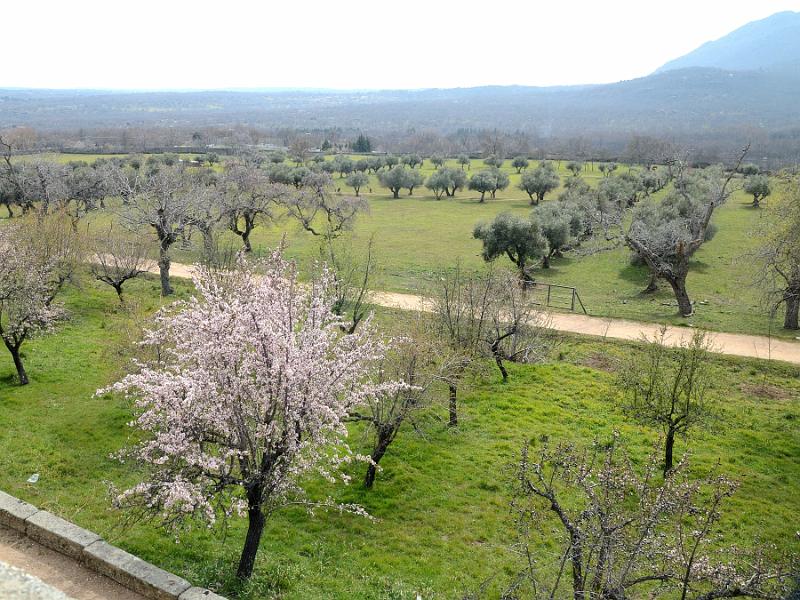 spain0161.jpg - Royal Monastery of San Lorenzo de El Escorial