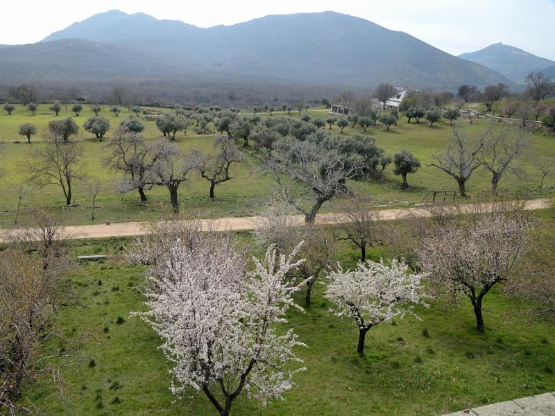 spain0162.jpg - Royal Monastery of San Lorenzo de El Escorial