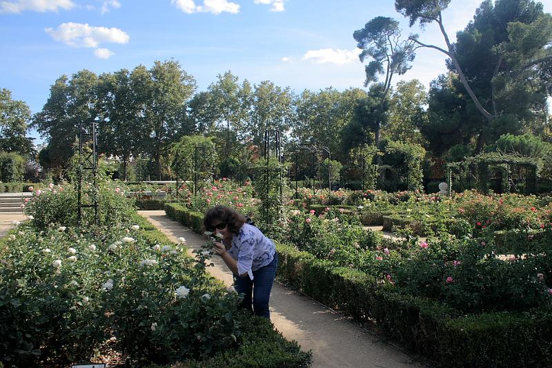 spain0133.JPG - Rose Garden in Retiro Park