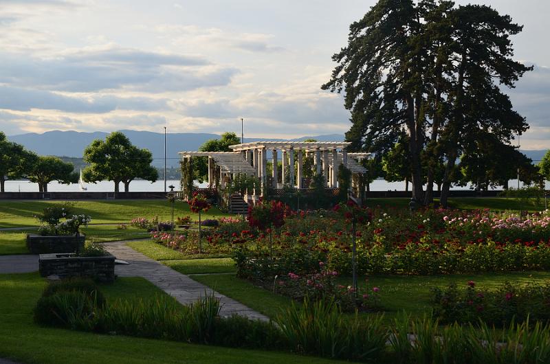 switz084.jpg - Rose Garden in Geneva's Parc de la Grange
