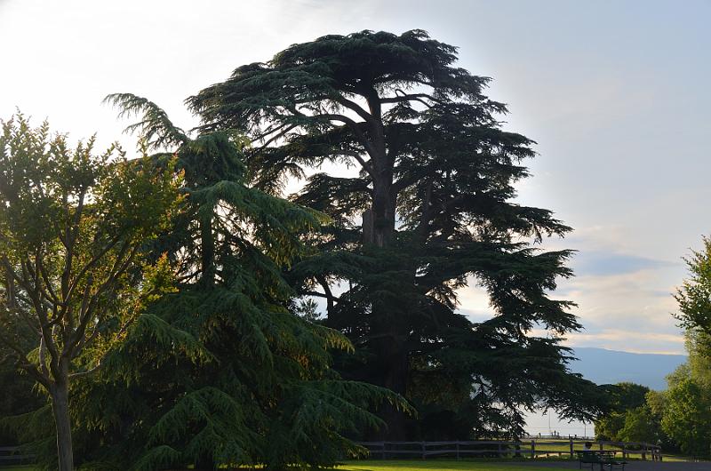 switz085.jpg - Geneva's Parc de la Grange