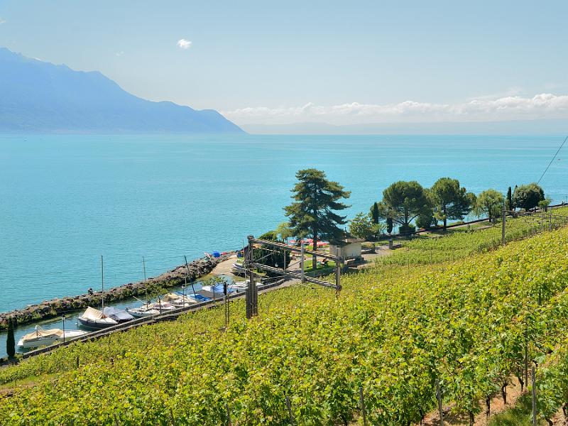 switz109.jpg - Swiss Riviera, Montreux