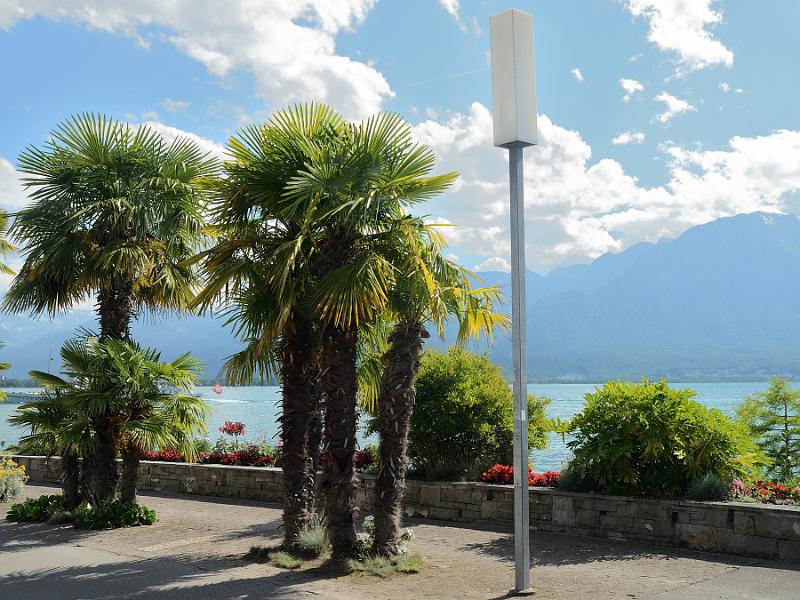 switz111.jpg - Swiss Riviera, Montreux
