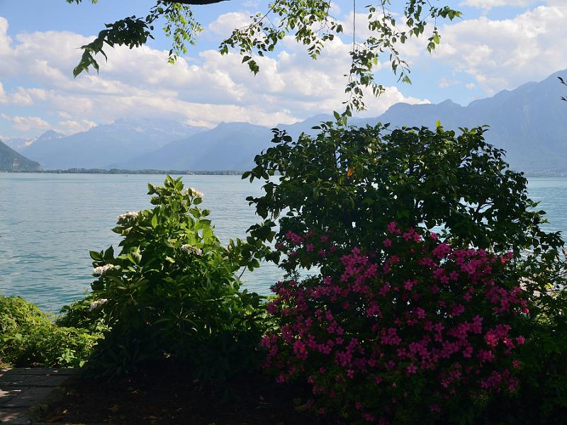 switz118.jpg - Montreux promenade