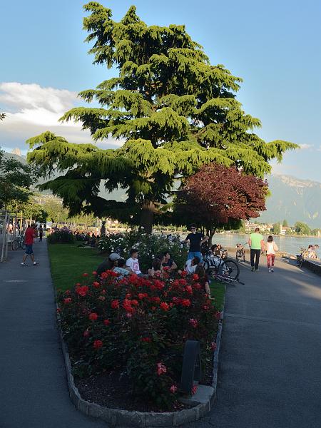 switz132.jpg - Vevey promenade