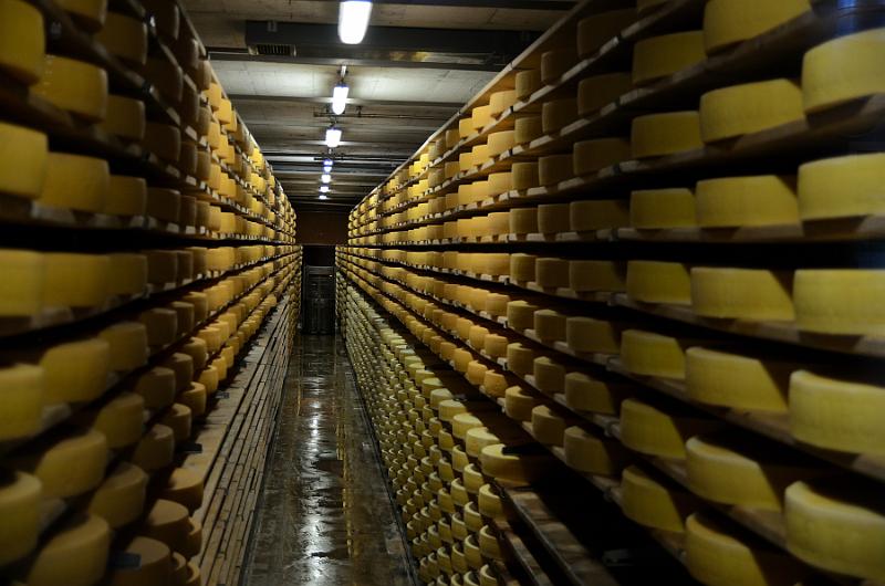 switz166.jpg - Cheese in the ripening cellar in Gruyeres
