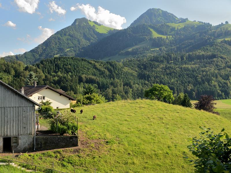 switz203.jpg - View from the restaurant