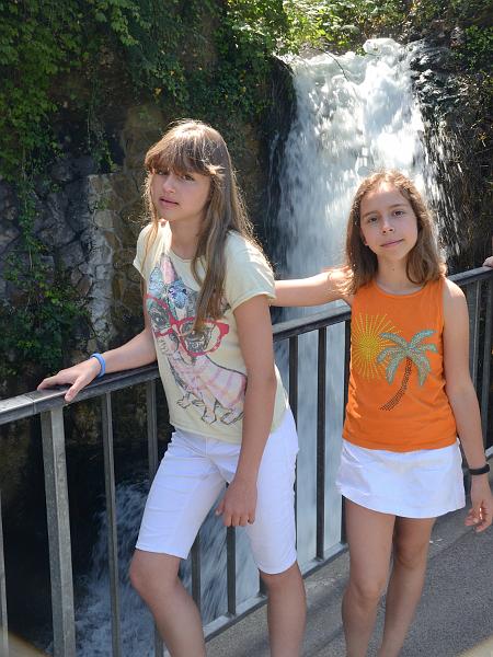 switz312.jpg - Near Rhine Falls