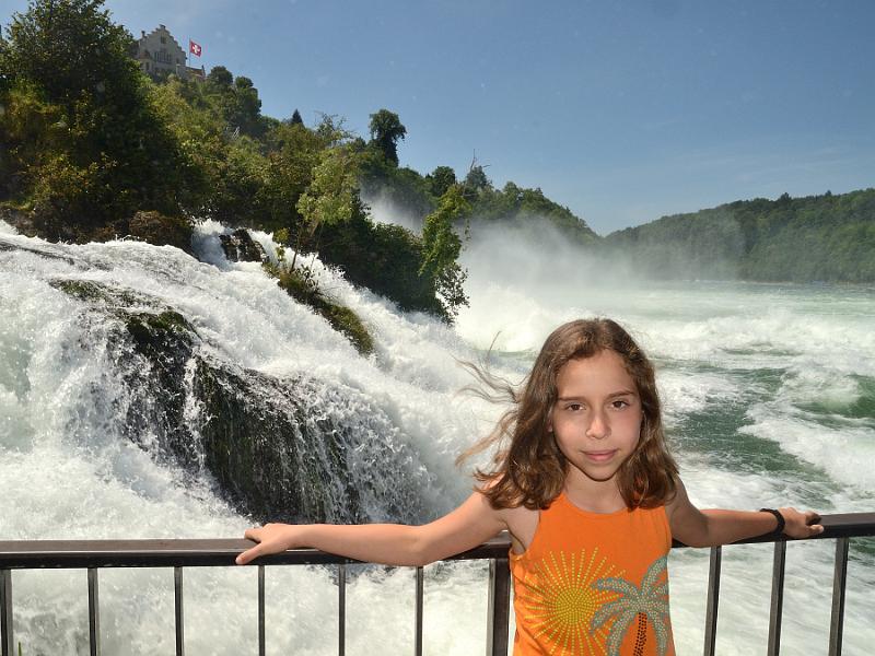 switz313.jpg - Rhine Falls rocks