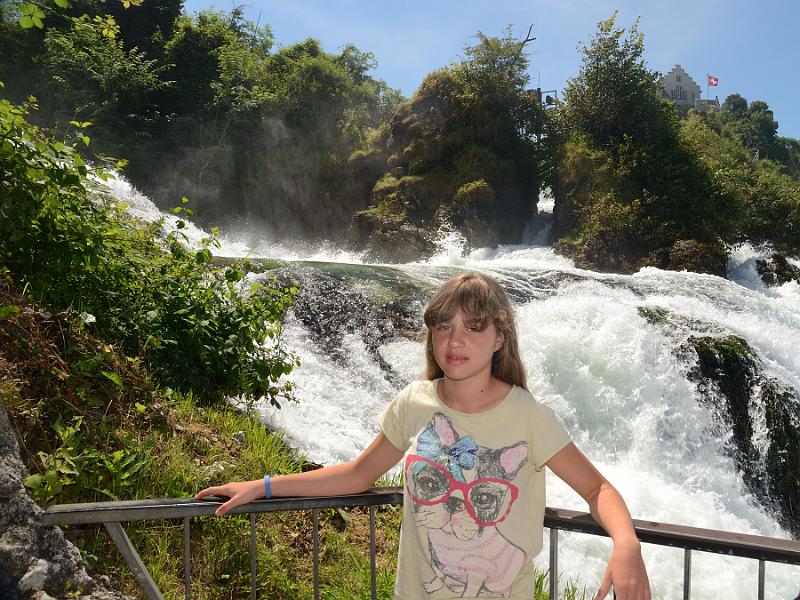 switz314.jpg - Rhine Falls rocks