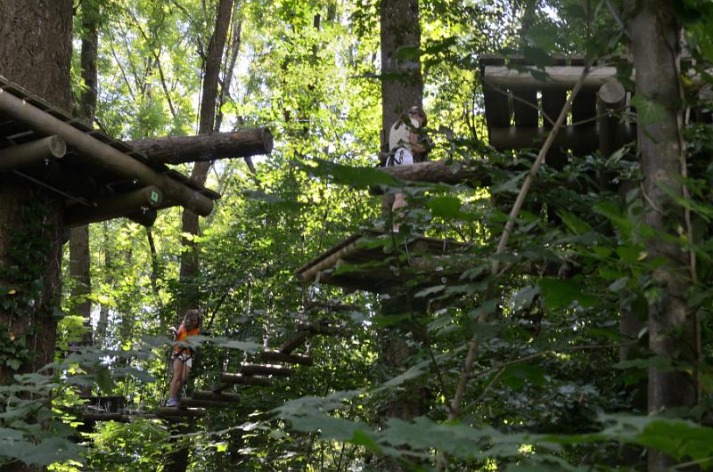 switz323.jpg - Rope park at the Rhein Falls