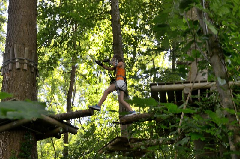 switz324.jpg - Rope park at the Rhein Falls