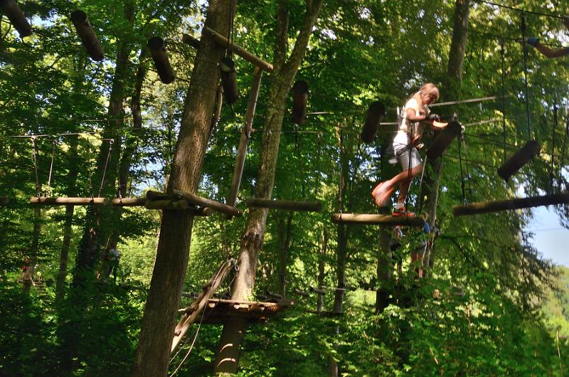 switz325.jpg - Rope park at the Rhein Falls